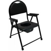 Ghế bô vệ sinh người già