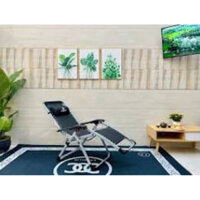 ghế bố xếp gọn (kéo dài)