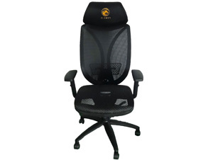 Ghế chơi game E-Dra Venus EGC211