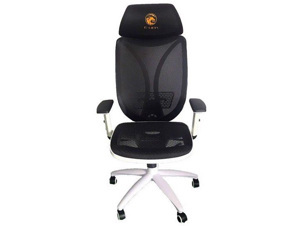 Ghế chơi game E-Dra Venus EGC211