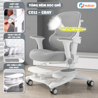 GHẾ CHỐNG GÙ LƯNG CHUẨN CÔNG THÁI HỌC CHO HỌC SINH C011