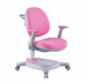 Ghế chống gù Raymond C41A PRO