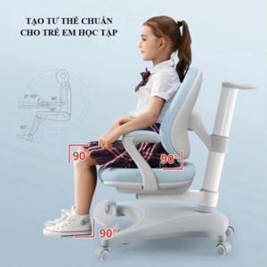 Ghế chống gù Sihoo K35C