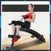 Ghế cong tập bụng đa năng DDS-104