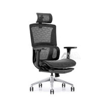 Ghế công thái học AMA-828A-JT