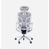 Ghế công thái học cao cấp Dvary Butterfly (GTchair ) hàng chính hãnh phân phối Việt Nam bảo hành 12 năm - VNPTECH