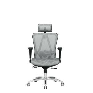 Ghế công thái học E-Dra EEC215