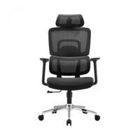 Ghế Công Thái Học E-Dra EEC219 Black
