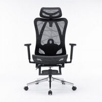 Ghế Công Thái Học E-Dra EEC225 - Màu Đen