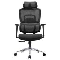 Ghế công thái học E-Dra EEC219