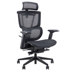 Ghế công thái học Epione Easy Chair Blossom