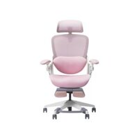 Ghế Công Thái Học EPIONE EASY CHAIR BLOSSOM