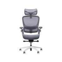 Ghế công thái học Epione Easy Chair v2.0 – Xám