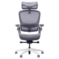 Ghế công thái học Epione Easy Chair 2.0 Cool Gray