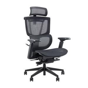 Ghế công thái học Epione ErgoChair Pro