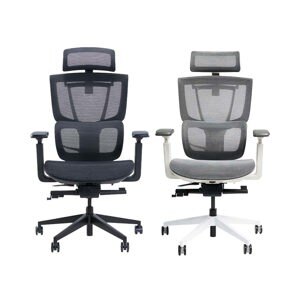 Ghế công thái học Epione ErgoChair Pro
