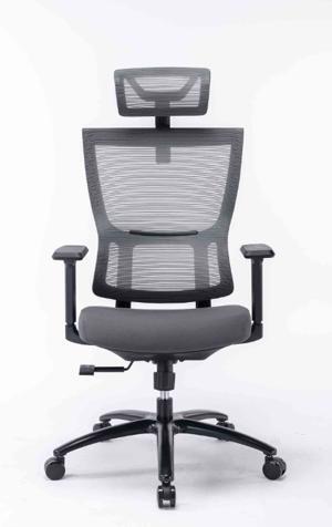 Ghế công thái học ergonomic Warrio WEC506v2