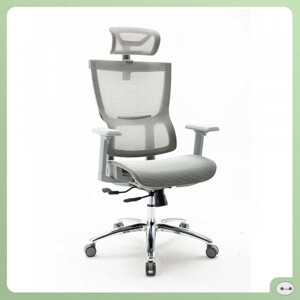 Ghế công thái học ergonomic Warrio WEC506v2