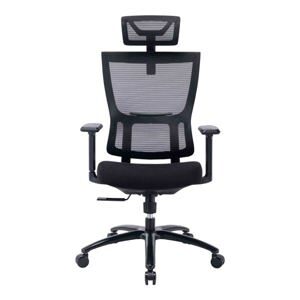 Ghế công thái học ergonomic Warrio WEC506v2