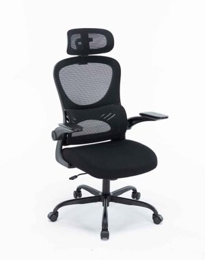 Ghế công thái học ergonomic Warrio WEC501