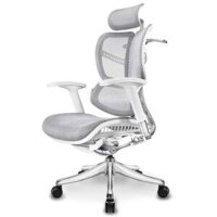 Ghế công thái học Ergonomic Vchair Evolution – Grey