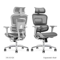 Ghế Công Thái Học Ergonomic Eway S21