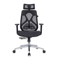 Ghế công thái học ergonomic E-Dra EEC227