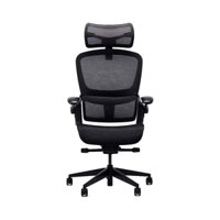 Ghế công thái học Ergonomic Epione Easy Chair SE 2.0