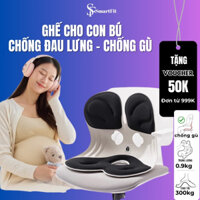 Ghế Công Thái Học, Ghế Cho Con Bú Chống Đau Lưng, Ghế Chống Gù Học Sinh, Ghế Tựa Lưng Văn Phòng