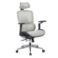 Ghế công thái học GLE12-1