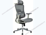 GHẾ CÔNG THÁI HỌC GLE22