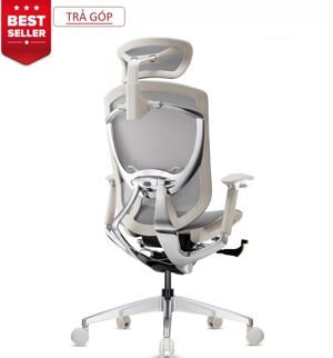 Ghế công thái học GTChair IFIT Ergonomic