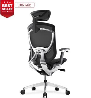 Ghế công thái học GTChair IFIT Ergonomic