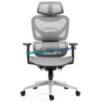 Ghế công thái học HP301