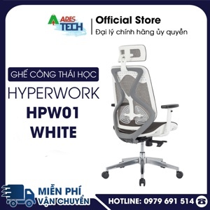 Ghế công thái học HyperWork HPW01