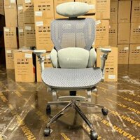 Ghế Công Thái Học LIKE REGA Lưng Lưới Êm Ái - CTH27