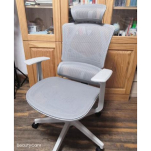 Ghế công thái học Sihoo M90C