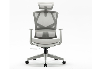 Ghế công thái học Sihoo M91C