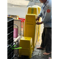 GHẾ ĐẨU LÙN COMBO20,GHẾ NHỰA LÙN COMBO10