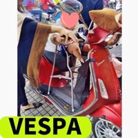 Ghế Đi Xe Máy Vespa Cho Bé, Ghế Ngồi Xe Máy Cho Bé Có Vòng (Ghế Sắt - Xếp Gọn)