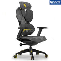 Ghế gaming công thái học Ergonomic Solo S201