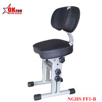 GHẾ HỌC SINH THÔNG MINH OKYOU - NGHS  FF1 - B (màù Đen)