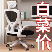 Ghế Máy Tính Ghế Văn Phòng Ghế Làm Việc Ghế Làm Việc Ghế Học Sinh Trung Học Ghế Học Sinh Chuyên Dụng Ghế Chơi Game