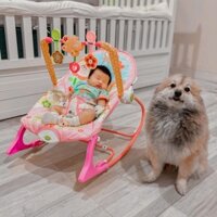 Ghế Rung Nhún Cho Bé Sơ Sinh Ghế Bập Bênh Nằm Chơi Cho Bé