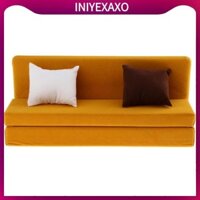 Ghế Sofa dài 1: 6 có đệm cho 12 ''