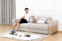 Ghế sofa vải mã V-AM18