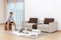 Ghế sofa vải mã V-AM19