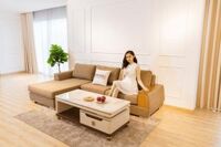 Ghế sofa vải nhập khẩu mã SW9137-15