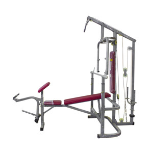 Ghế tạ đa năng Ben 502