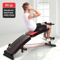 Ghế tập bụng cong muse - Ghế Tập cơ Bụng,Máy tập bụng, Ghế tập lực , máy gập cơ bụng hàng nhập khẩu - Sit up-119